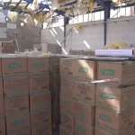 نگاهی به عملکرد هایلی در دوران جنگ